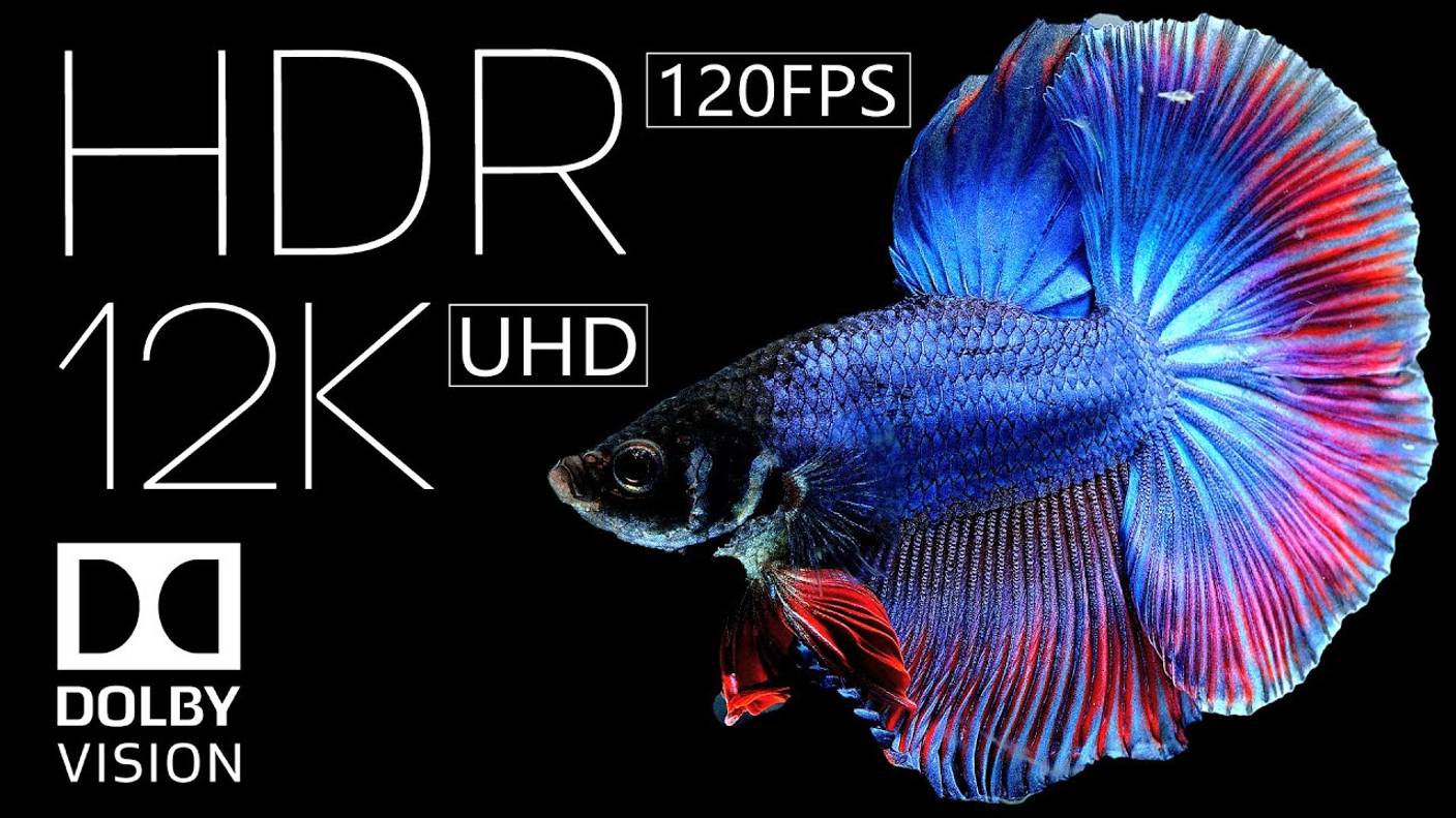 Потрясающая четкость HDR 12K 60fps Dolby Vision