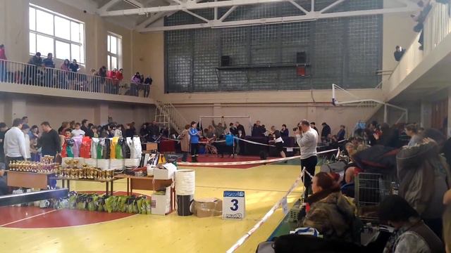 Видео по хэндлингу. Bull Strong Lucky. смотреть онлайн