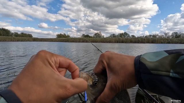 Тут его много, клюёт на каждом забросе, ловля рыбы на фидерную снасть, рыбалка на карася, улов смотреть онлайн