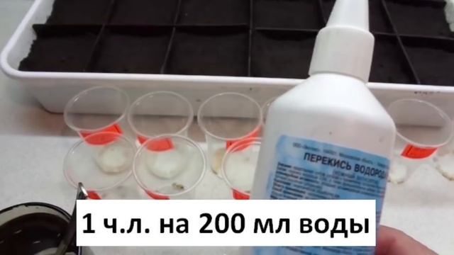 КАК СЭКОНОМИТЬ ПРИ ПОДГОТОВКЕ К НОВОМУ САДОВО ОГОРОДНОМУ СЕЗОНУ смотреть онлайн