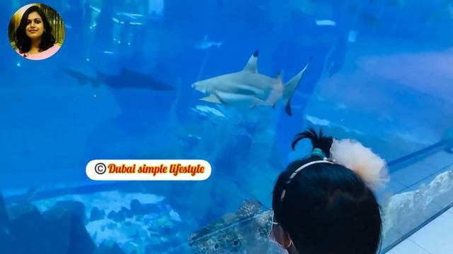 Beautiful fishes & Sharks at Dubai Mall || Dubai Aquarium TOUR 2021 смотреть онлайн