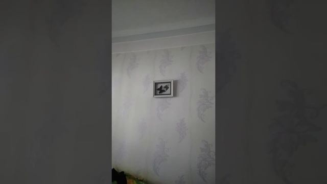 Бабочки на стене смотреть онлайн