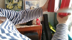 ZIC G-FF 75W-85 поддельное или настоящее?