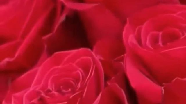 Просто так ...Стихи Марины Свиридовой, муз и исп Самуила Фрумовича смотреть онлайн