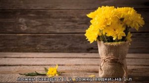 Что добавить в воду, чтобы хризантемы дольше стояли в вазе