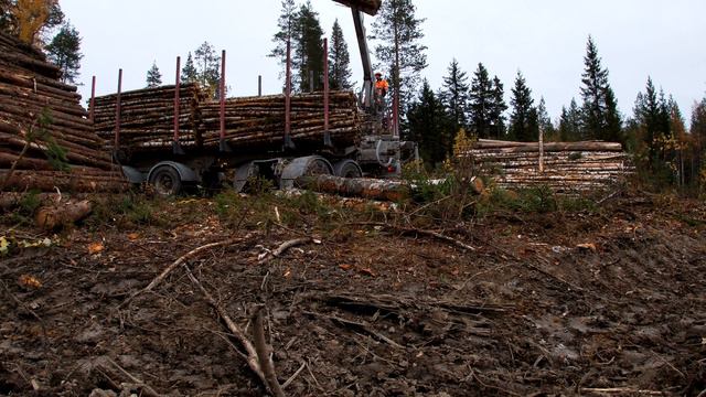 Лесовоз Вольво + Кесла. смотреть онлайн