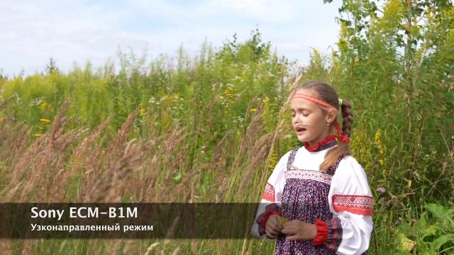 Сравнение микрофонов Sony с разной настройкой направленности смотреть онлайн