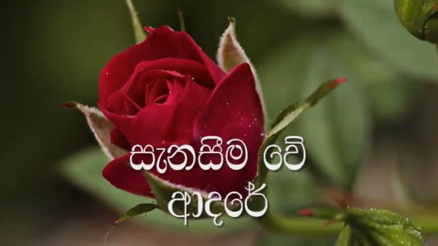 Kiri Kodu Hithata Karaoke (without voice) කිරිකෝඩු හිතට ආල නුඹේ смотреть онлайн