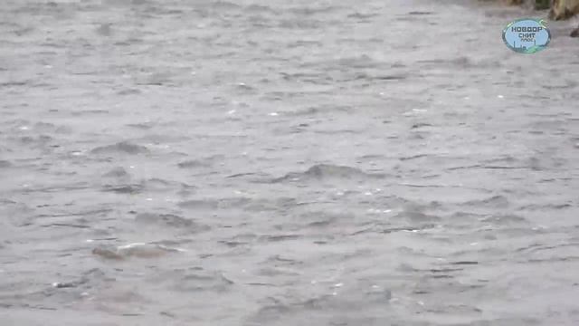 Руководство к Творческой Практике