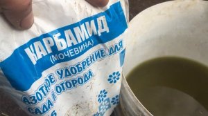 Аффинаж Керамических Процессоров: Анализ