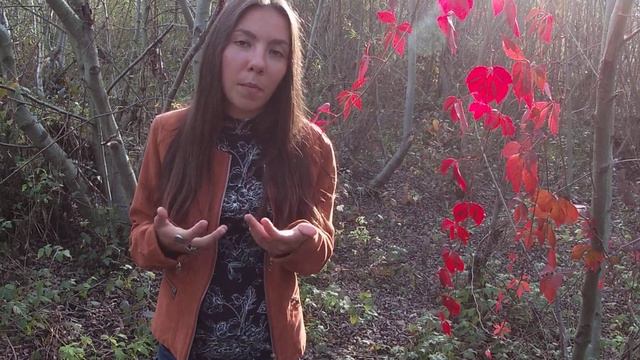 Типи чоловіків, яких потрібно УНИКАТИ смотреть онлайн