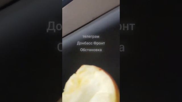 Северск. 20 ноября 2023 года. смотреть онлайн