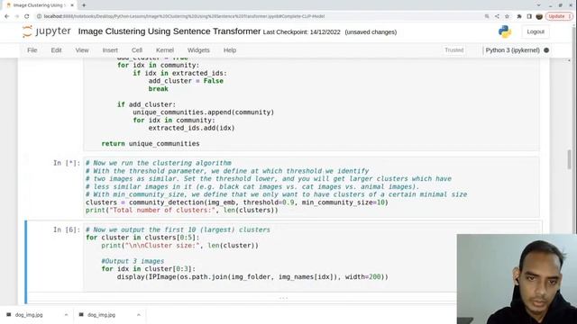 Image Clustering Using CLIP | Finding Similar Images | Sentence Transformer смотреть онлайн