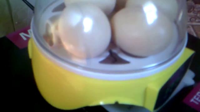 Цыплята из инкубатора. Уход за ними. смотреть онлайн