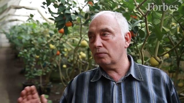 Анатолий Патий: какие экзотические фрукты можно вырастить в Украине смотреть онлайн