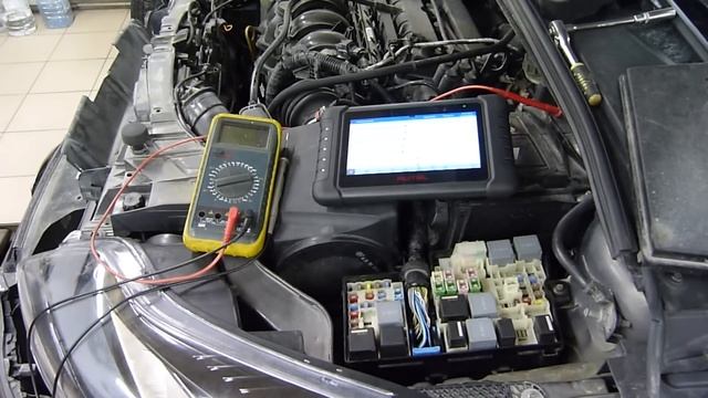 80 000 руб. КОТУ под ХВОСТ. смотреть онлайн