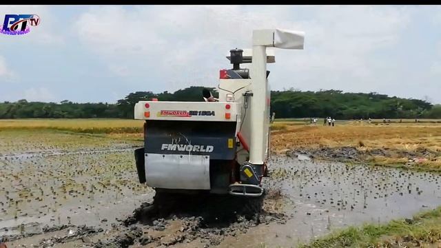 Rice Harvesting Machine Now in Bangladesh ||paddy cutter||2020| смотреть онлайн