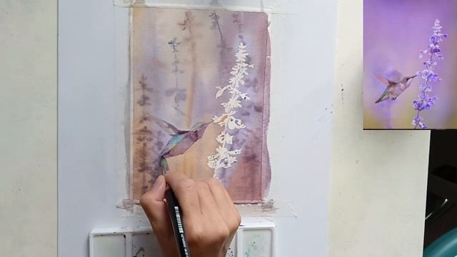 Полет колибри | Как нарисовать колибри акварелью #акварелью #колибри смотреть онлайн