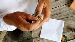 Чем лучше метить матку пчел. Опалетки для меток пчеломатки.