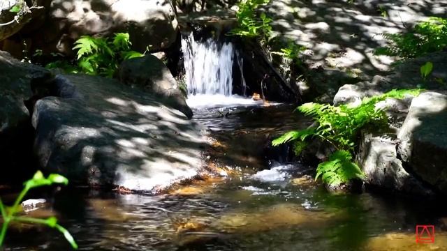 Ефрем Сирин СЛОВО УМИЛИТЕЛЬНОЕ часть 1 смотреть онлайн