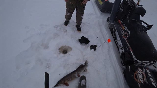 Рыбалка на трофейную щуку. Ноябрь 2019. Часть 2ая смотреть онлайн