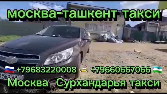 Москва -ташкент,Сурхандарё, ТаксиСанкт-Петербург ташкент Кашкадаре,#такси#россия #душанбе#такси#рек смотреть онлайн