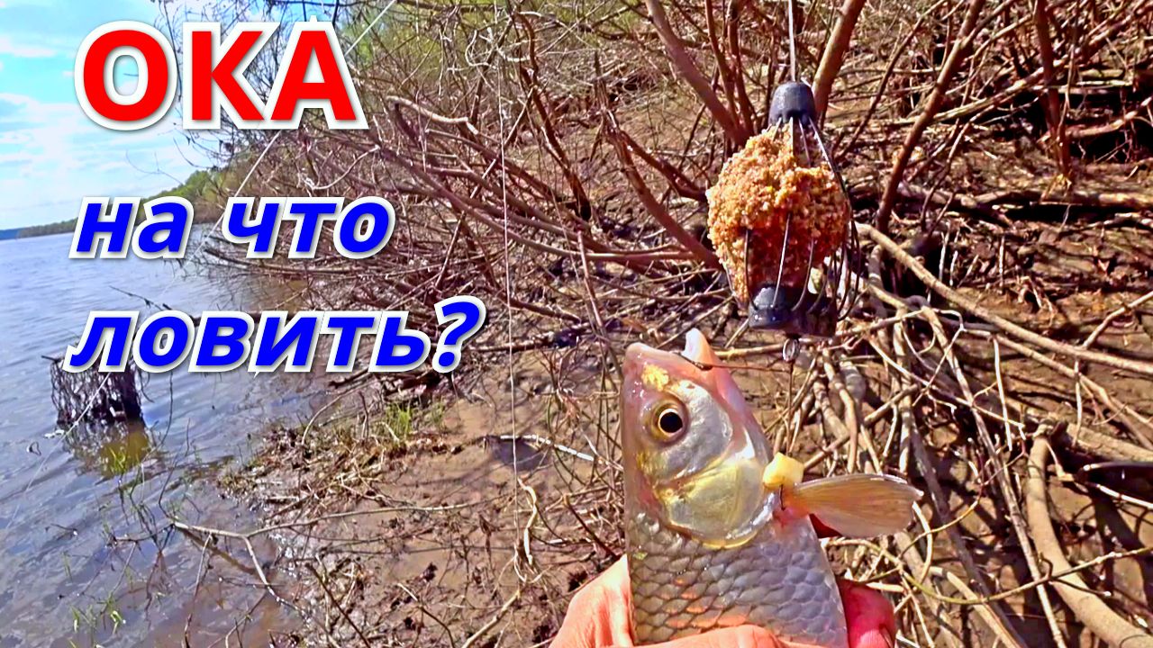 ДОНКА КОРМУШКА ПОПЛАВОК. ЛОВЛЮ на ВСЁ. Рыбалка на ОКЕ в конце апреля. смотреть онлайн