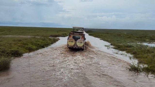 Serengeti Safari Flash Flood | African #safari game drives | Day 1 #wildlife смотреть онлайн