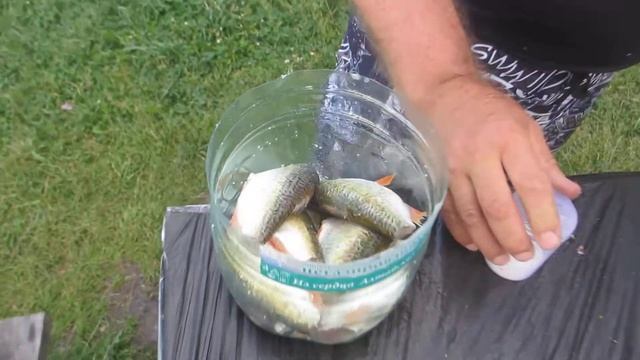 "ТЕЩИН ЯЗЫК"рбалка в новокузнецке. смотреть онлайн