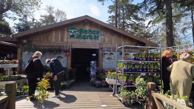 Парк Емирган Истанбул фестивал на лалето 2023г. смотреть онлайн