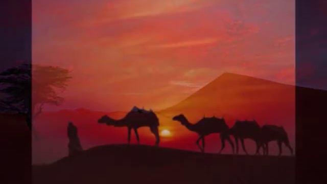 Tribute to Sahara Desert смотреть онлайн