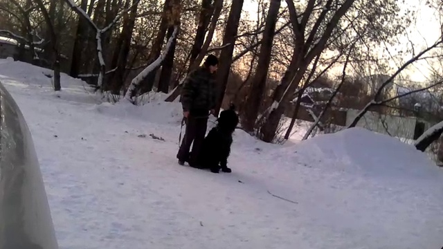 VID_20170130_103711 смотреть онлайн