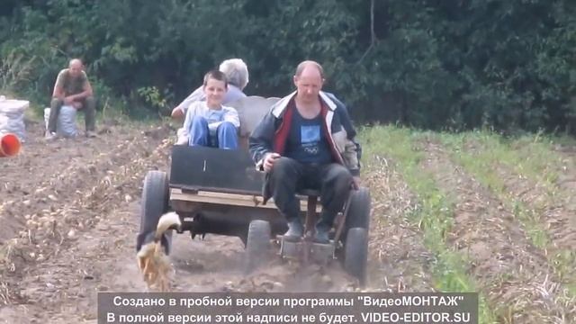 Копание картошки смотреть онлайн