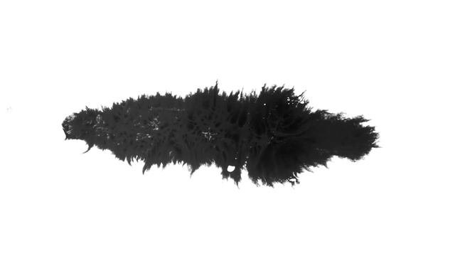 very new ink drop slideshow black screen Full HD 1920 x1080 | free used смотреть онлайн