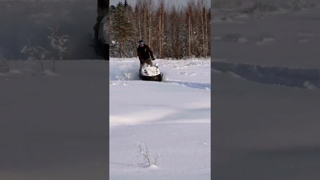 буран 4дт по пухляку смотреть онлайн