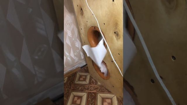 Кто сказал, что для домашки эстрада не валит низа??? Дальше больше!!! Ноэма 150 гдш. смотреть онлайн