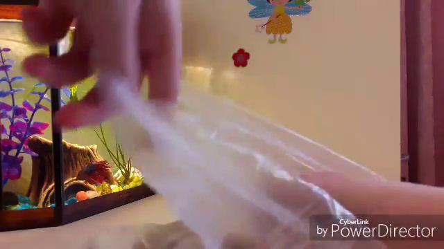 Покупки из зоомагазина #1 смотреть онлайн