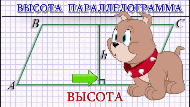 Высота параллелограмма
