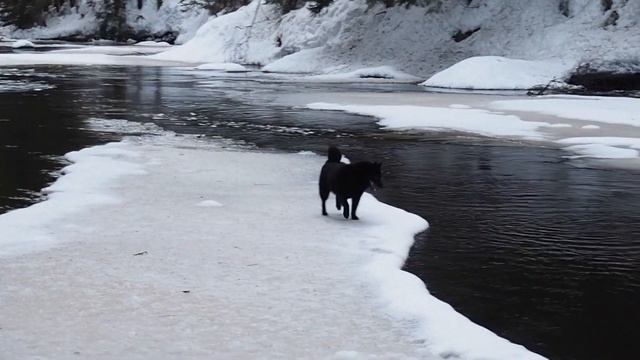 Линдуловская роща. Необычный маршрут. Заблудились и застряли смотреть онлайн