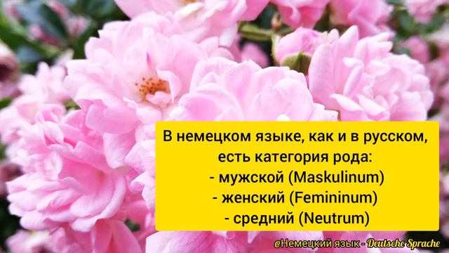 Lektion 5 - определённые артикли / bestimmte Artikel смотреть онлайн