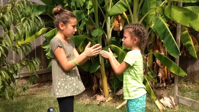 Hand Clapping Games: "Big Mac, Filet of Fish" смотреть онлайн