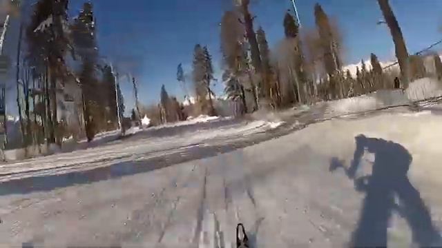 Дух захватывает!!!Сочи 2014!!! Спуск в реальном времени!!! смотреть онлайн