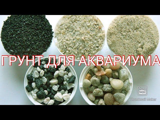 КАК И КАКОЙ ГРУНТ ВЫБРАТЬ ДЛЯ АКВАРИУМА