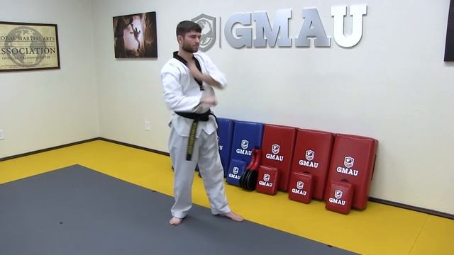 Taekwondo Follow Along Class - White Belt - Class #1 смотреть онлайн
