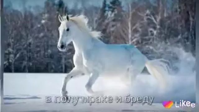 Моя мечта сорвать звезду, подарить тебе её, чтобы она освещала тебе путь.......(видео делала я) смотреть онлайн