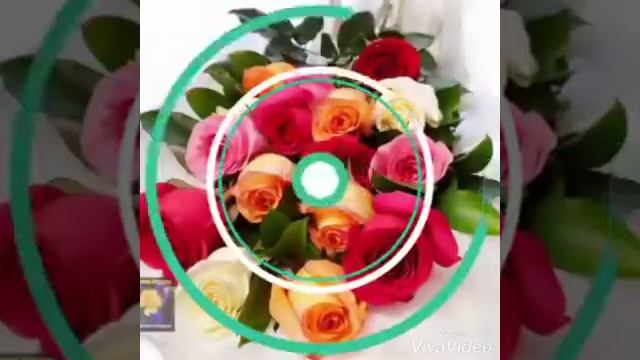 ШИКАРНОЕ ЦВЕТЫ и КЛАССНАЯ ПЕСНЯ !!! смотреть онлайн