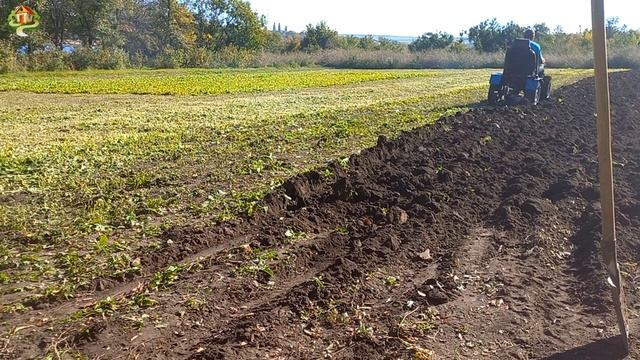 Оранка города МОТОБЛОКОМ. Гірчиця на сидерати. смотреть онлайн