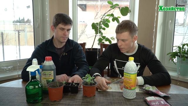 Почему важно проводить внекорневые подкормки для рассады? смотреть онлайн