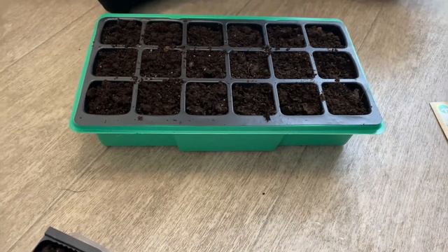 Февральская посевная 2021. Наш выбор рассады для посева. смотреть онлайн