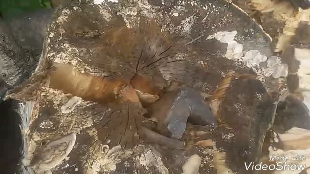 Колка дров с сучками клином смотреть онлайн